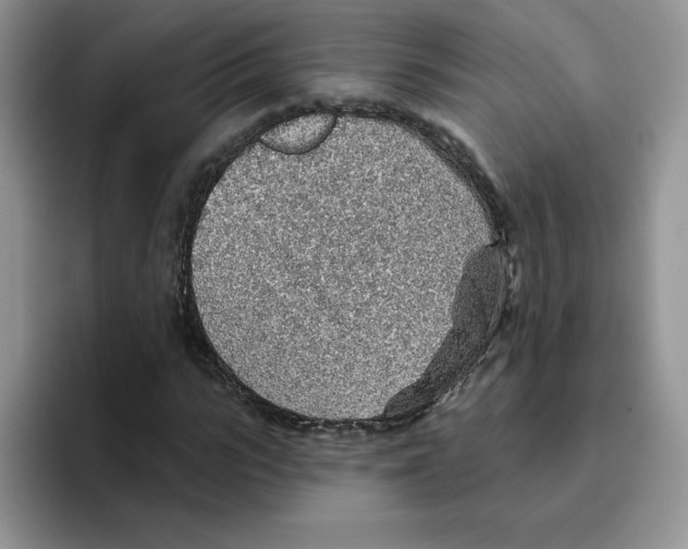 X0000093500919200711091700