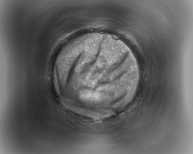 X0000093500920200711091700