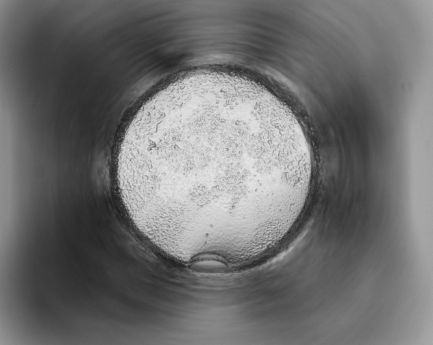 X0000093500921200711091700