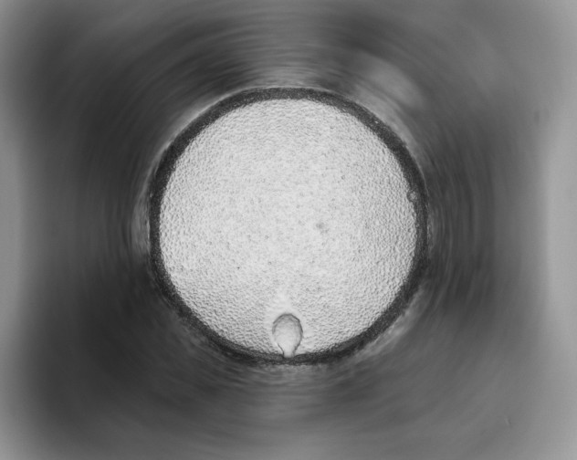 X0000093500925200711091700