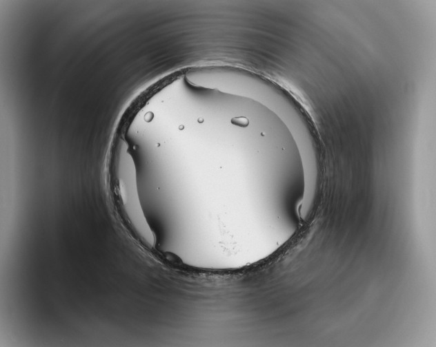 X0000093500928200711091700