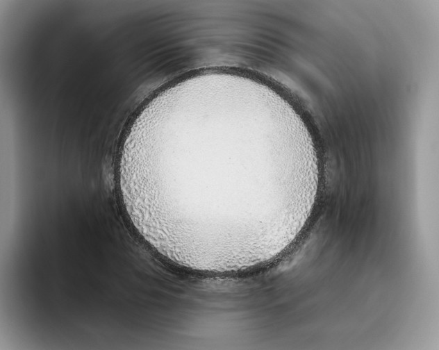 X0000093500929200711091700