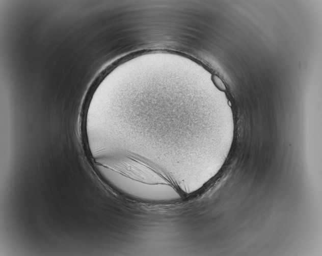X0000093500932200711091700
