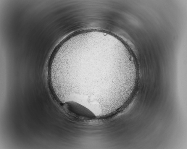X0000093500933200711091700