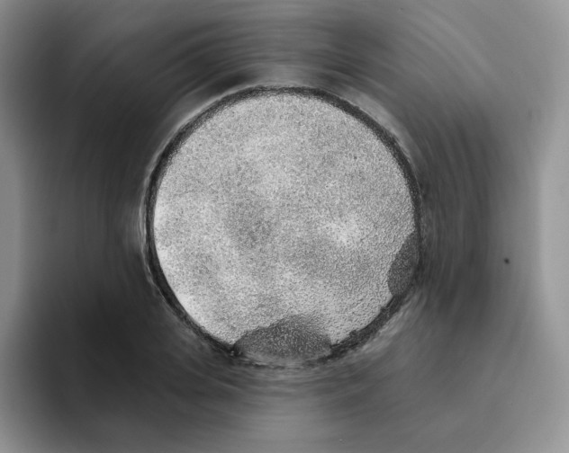 X0000093500935200711091700