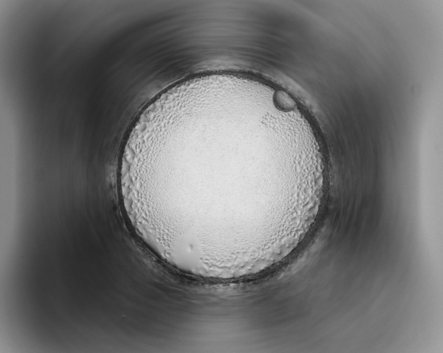 X0000093500937200711091700