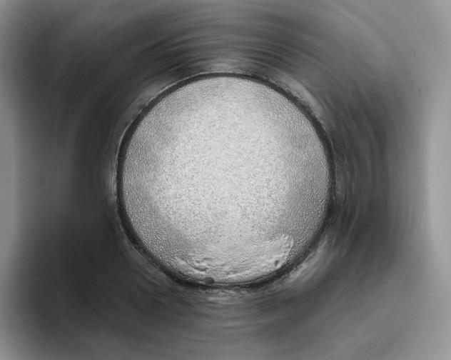 X0000093500938200711091700