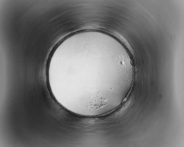 X0000093500939200711091700