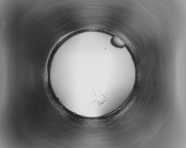 X0000093500940200711091700