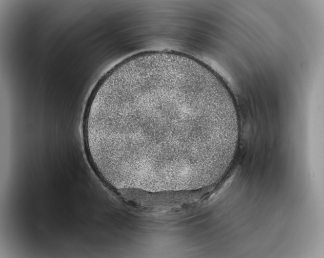 X0000093500943200711091700