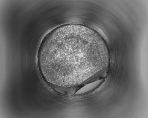 X0000093500944200711091700