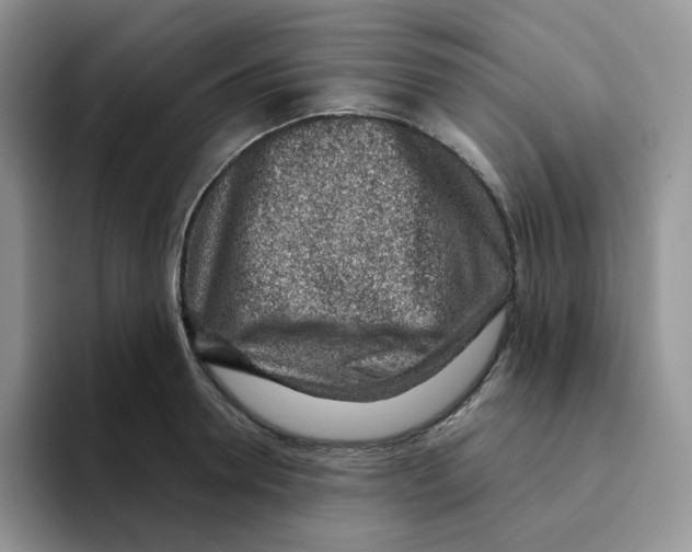 X0000093500946200711091700