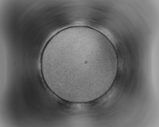 X0000093500950200711091700