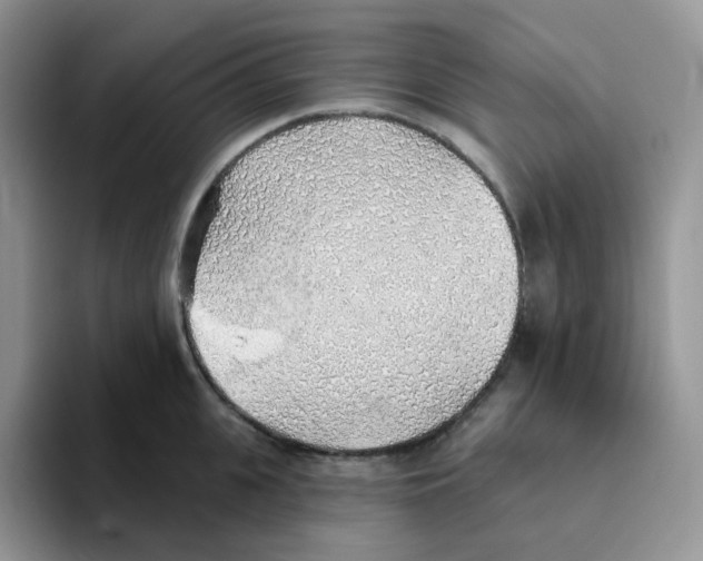 X0000093500951200711091701