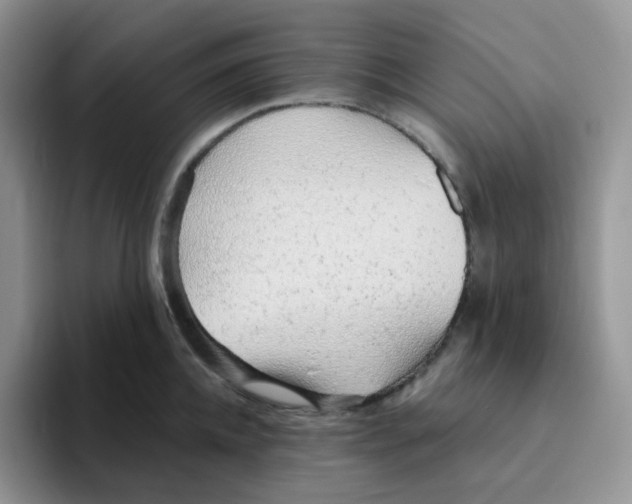 X0000093500952200711091701