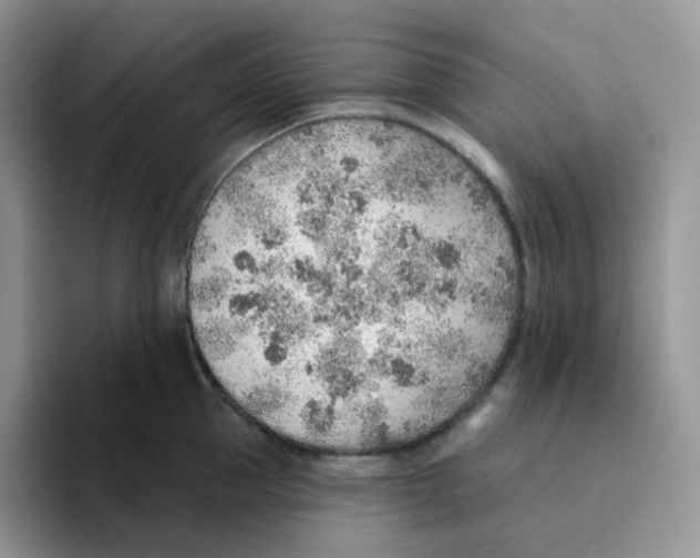 X0000093500953200711091701