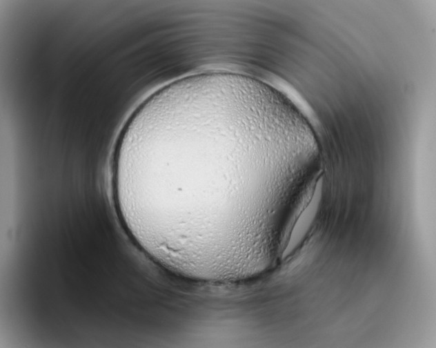 X0000093500955200711091701