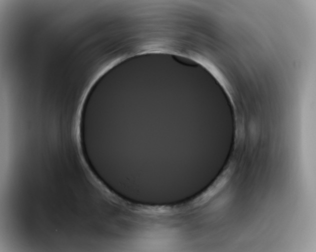 X0000093500957200711091701