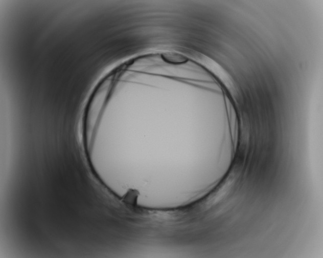 X0000093500958200711091701