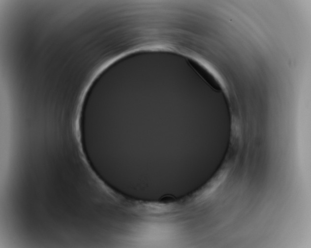 X0000093500959200711091701