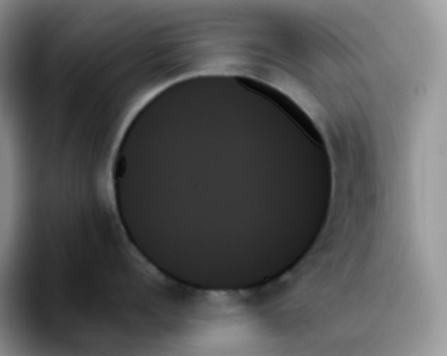 X0000093500960200711091701