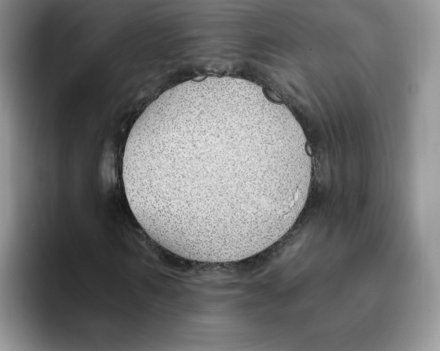 X0000093500962200711091700