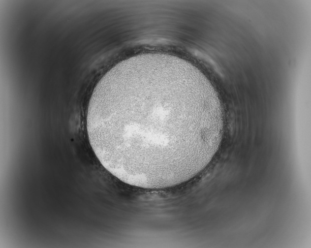 X0000093500966200711091700