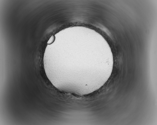 X0000093500967200711091700