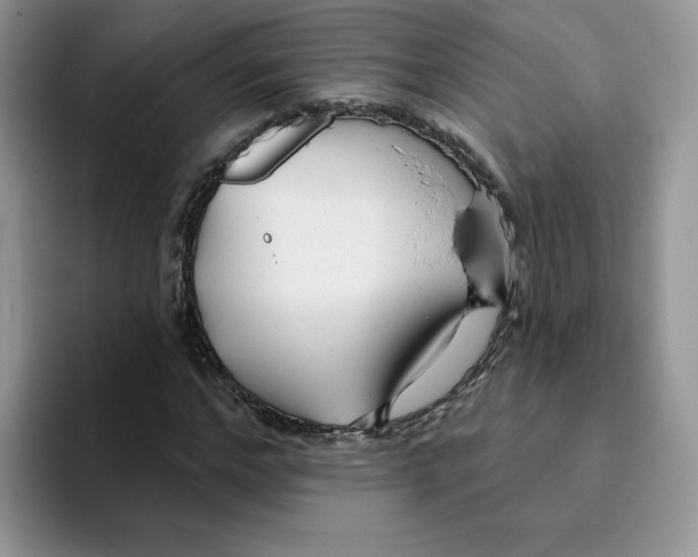 X0000093500968200711091700