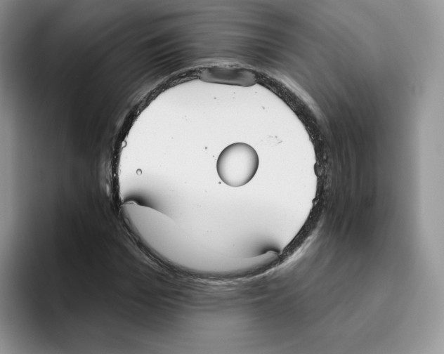 X0000093500969200711091700