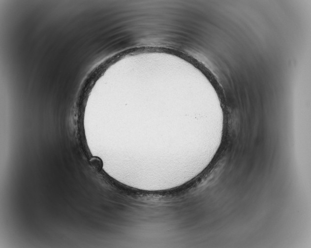 X0000093500971200711091700