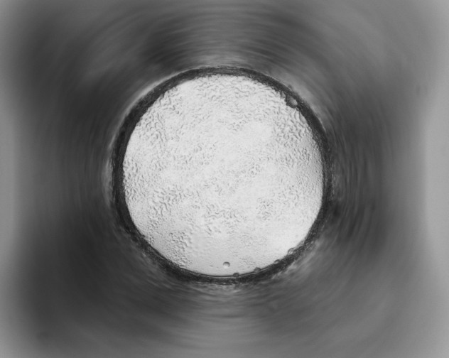 X0000093500975200711091700