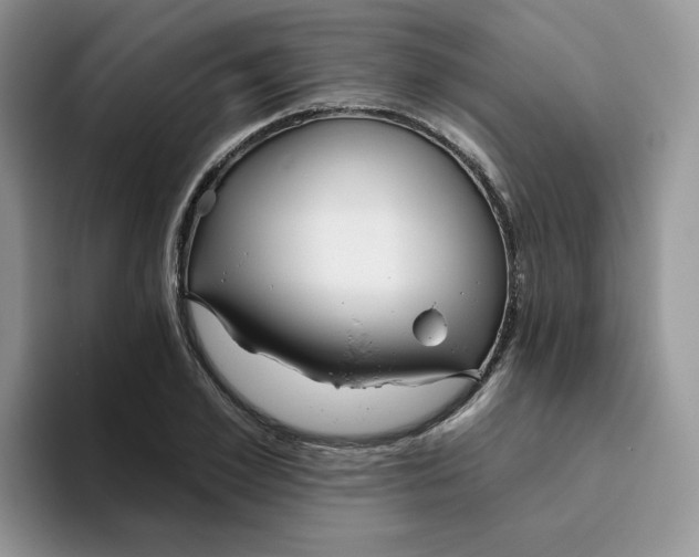 X0000093500981200711091700