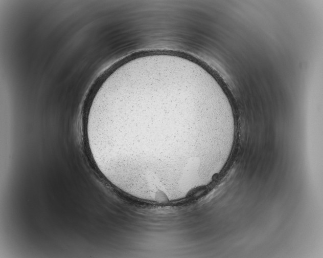X0000093500982200711091700