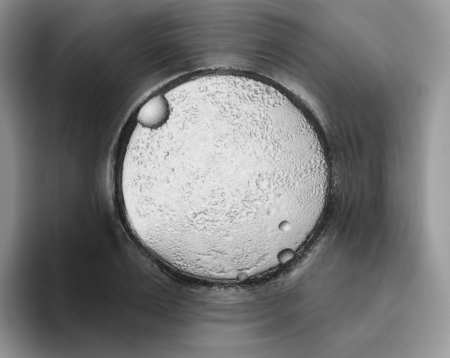 X0000093500983200711091700