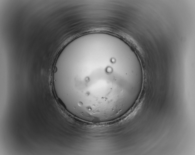 X0000093500985200711091700