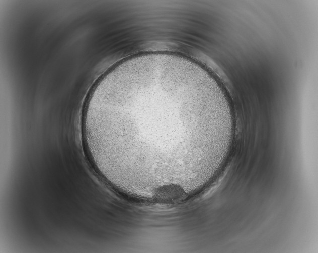 X0000093500986200711091700