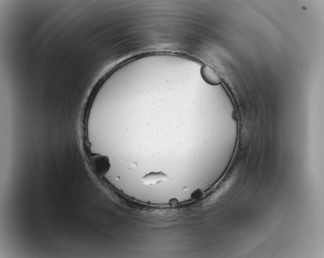 X0000093500989200711091700