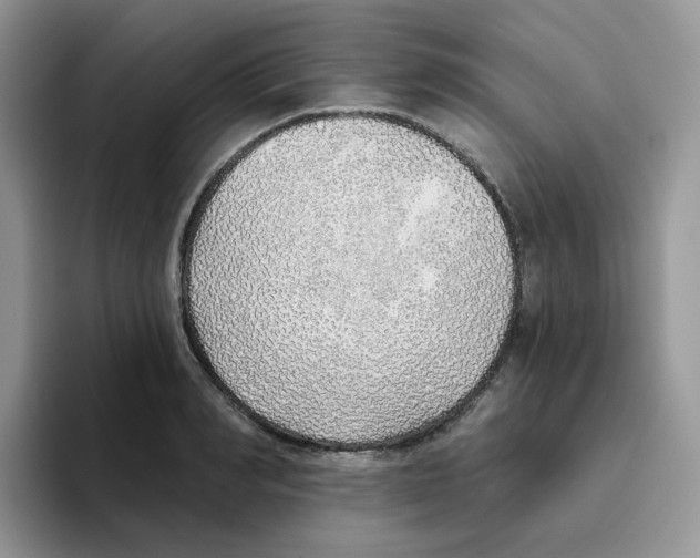 X0000093500990200711091700