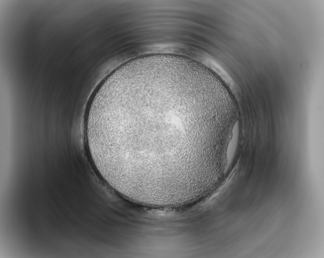 X0000093500994200711091700