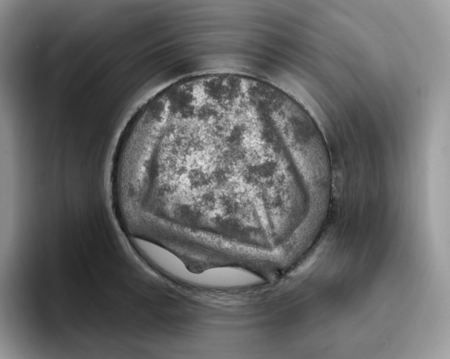 X0000093500995200711091700