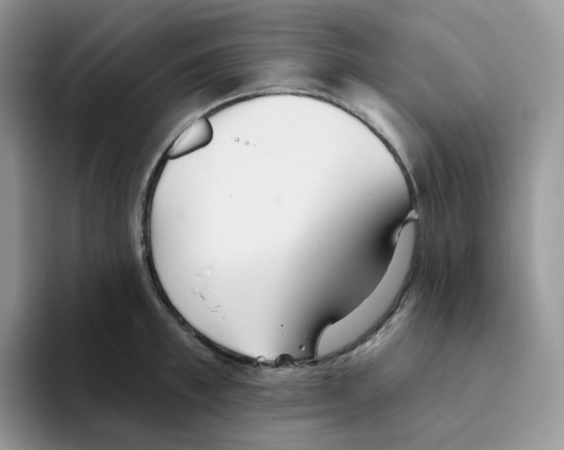 X0000093500997200711091700