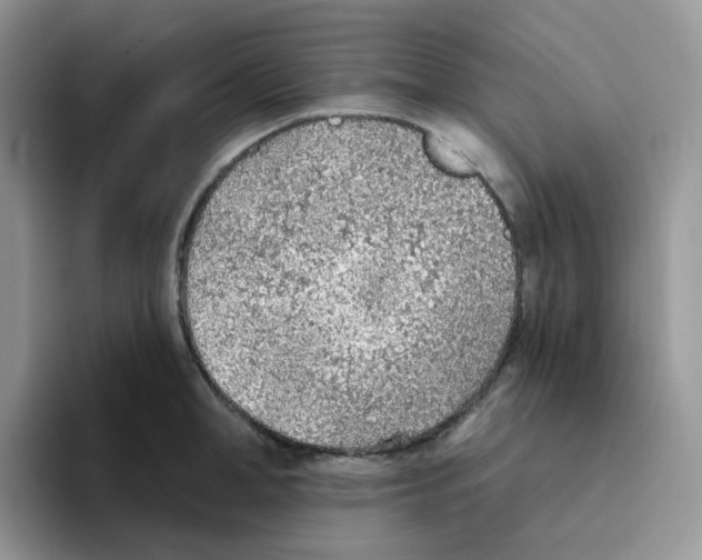 X0000093500998200711091700