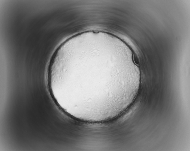 X0000093500999200711091700