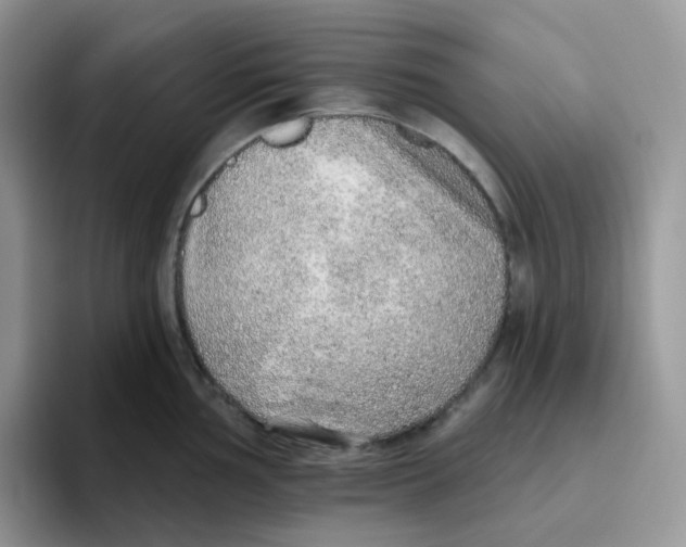 X0000093501002200711091700