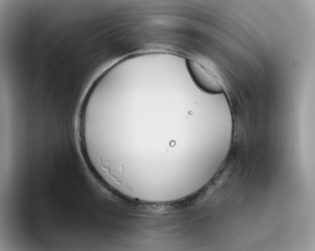X0000093501003200711091700