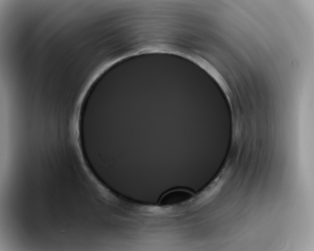 X0000093501005200711091700