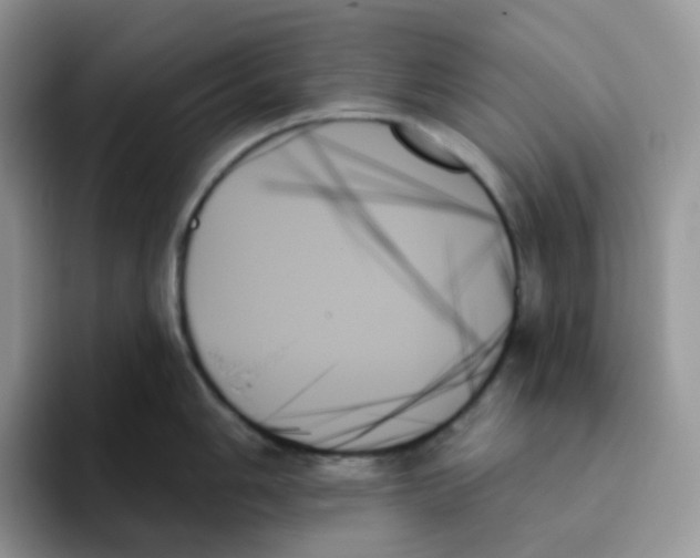 X0000093501006200711091659