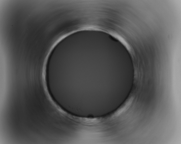 X0000093501007200711091659
