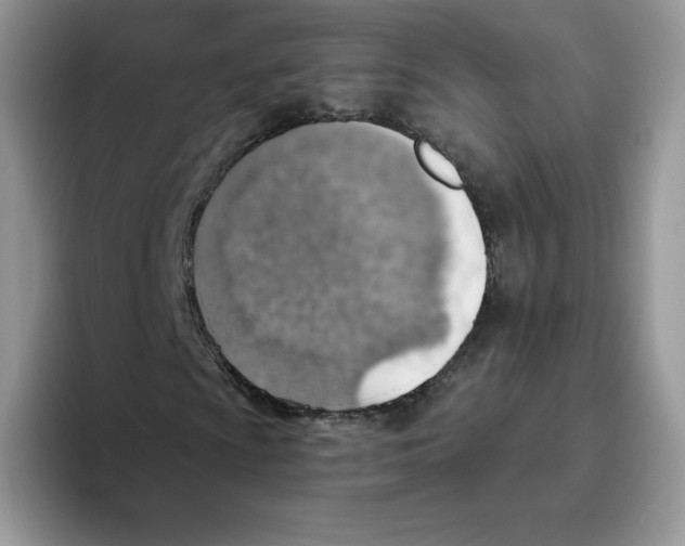 X0000093501009200711091659